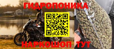 ешки Владикавказ