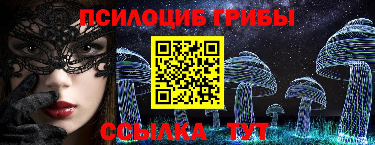 Галлюциногенные грибы Psilocybine cubensis Урюпинск